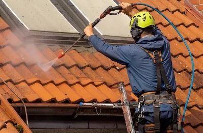 Démoussage et hydrofuge de toiture à Calamane